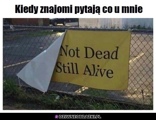 Mniej więcej tyle