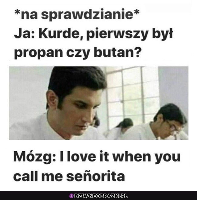 Dzięki mózgu