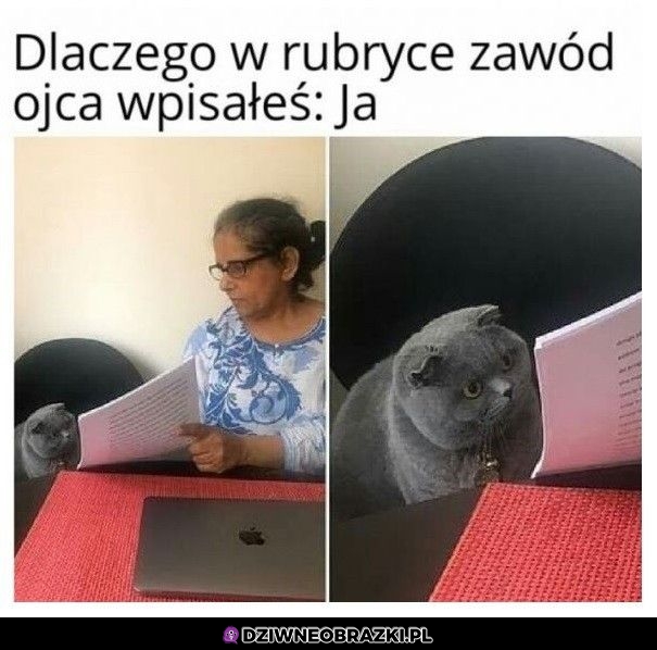 A tak jakoś odruchowo