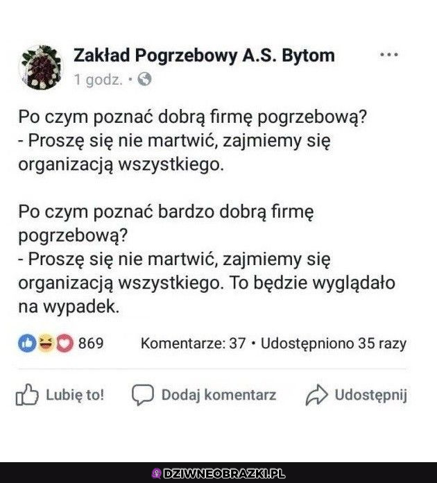 Oferta pełen wypas 