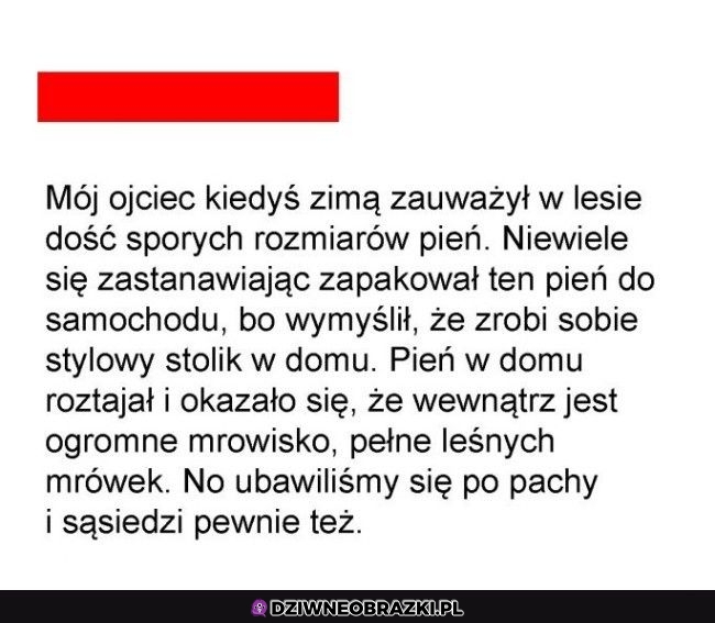 To nie był najlepszy pomysł mojego ojca To nie był najlepszy pomysł mojego ojca