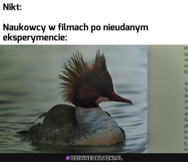 Naukowcy po nieudanym eksperymencie...