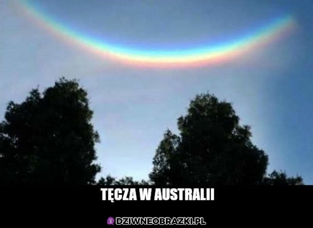 Australijska tęcza
