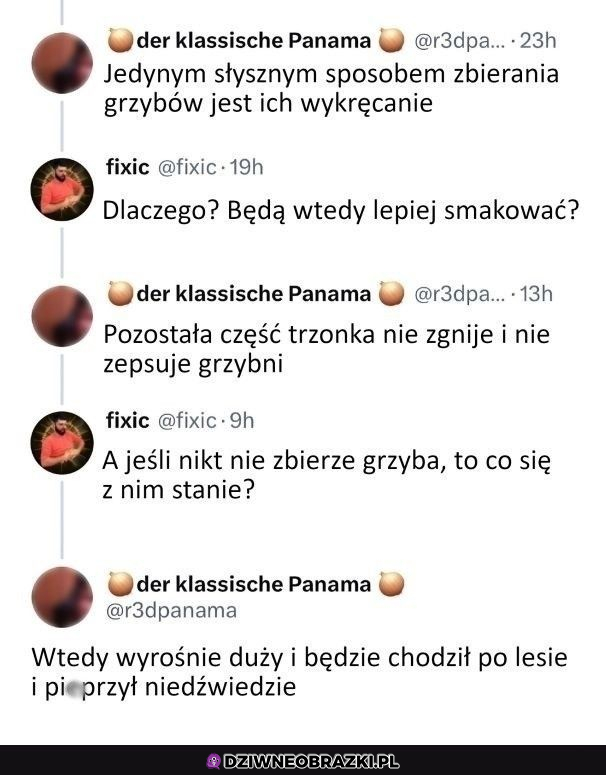 Co się dzieje jak nie zerwiesz grzyba