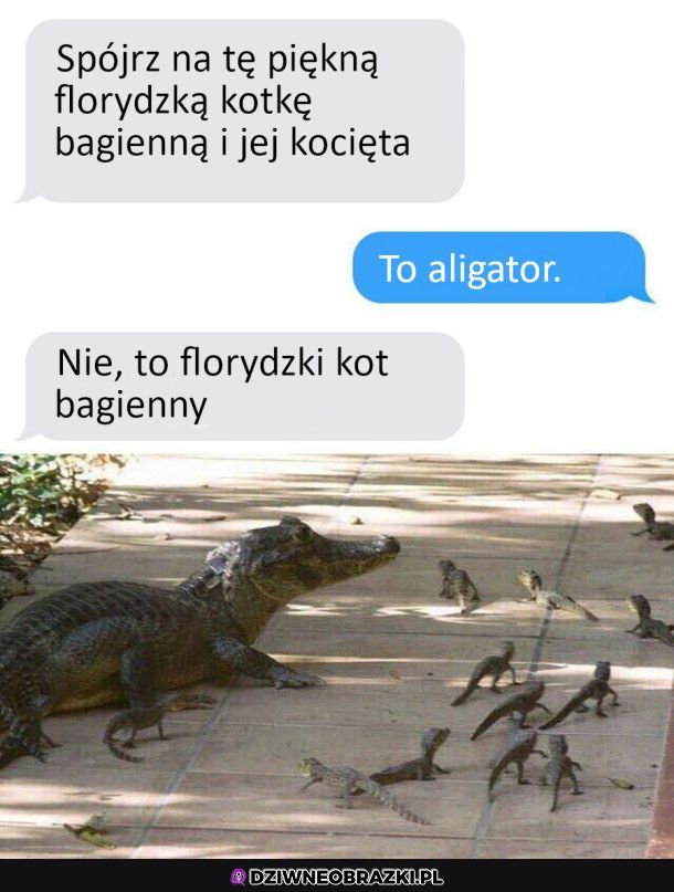 Floryda