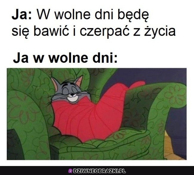 Kiedy tylko mam wolne