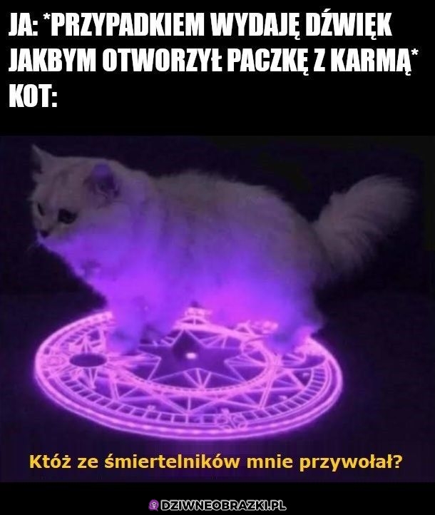 Witam panstwa