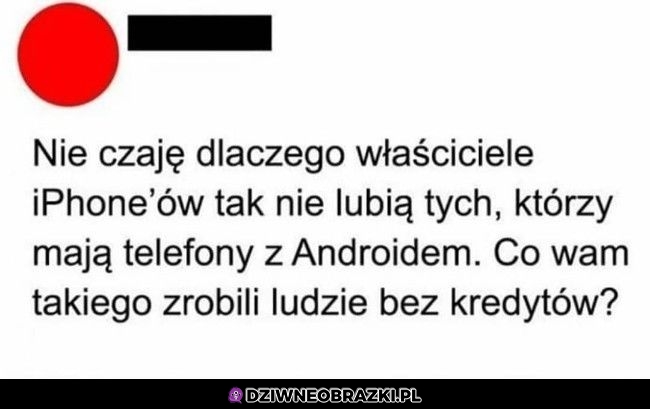 Co oni wam zrobili?