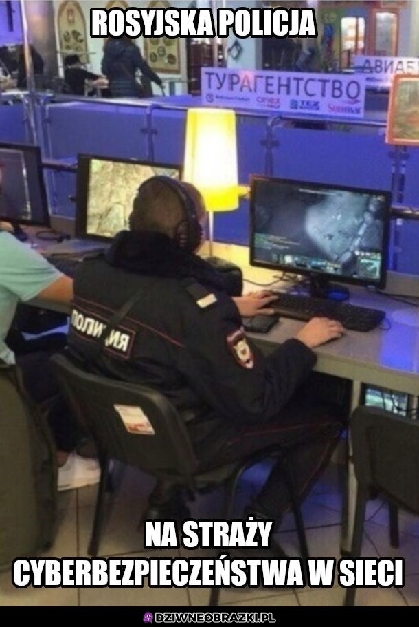 Patrolują