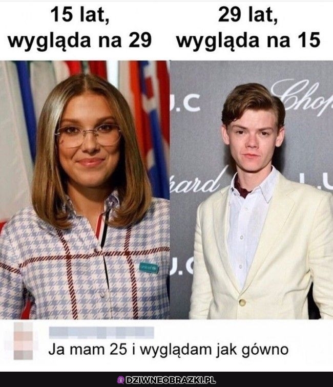 Wygląd