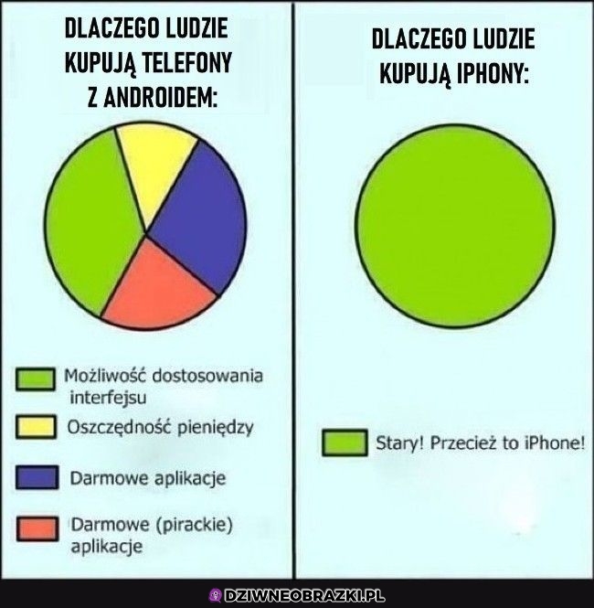 Jedyny powód