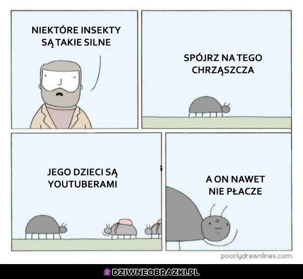 Prawdziwa siła