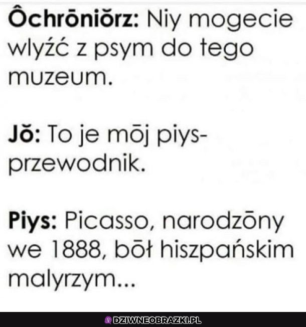 Pies przewodnik