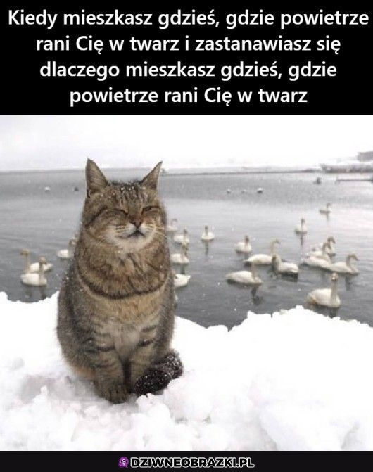 Właśnie