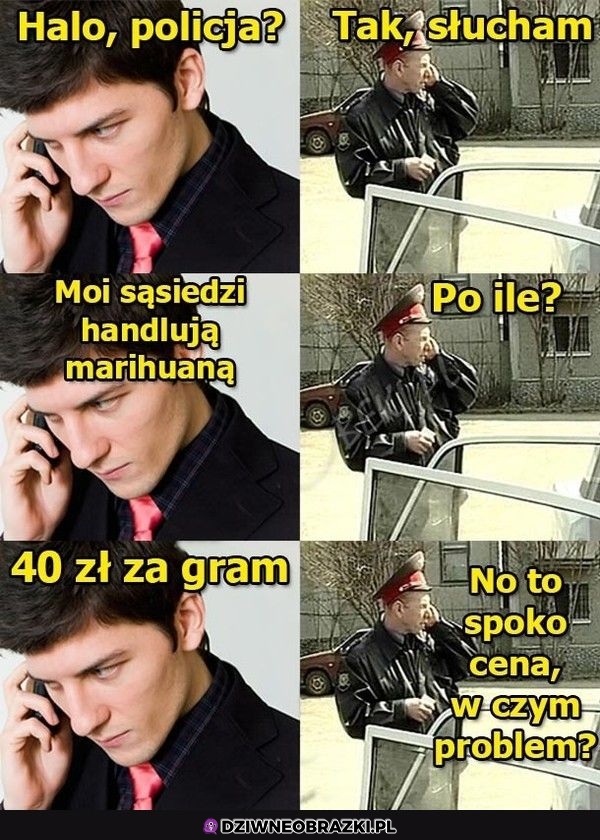 Halo, policja