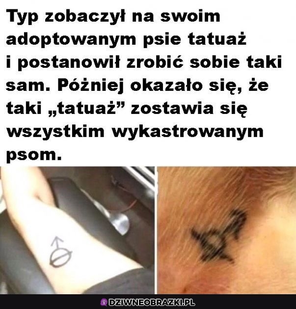 Super dziara