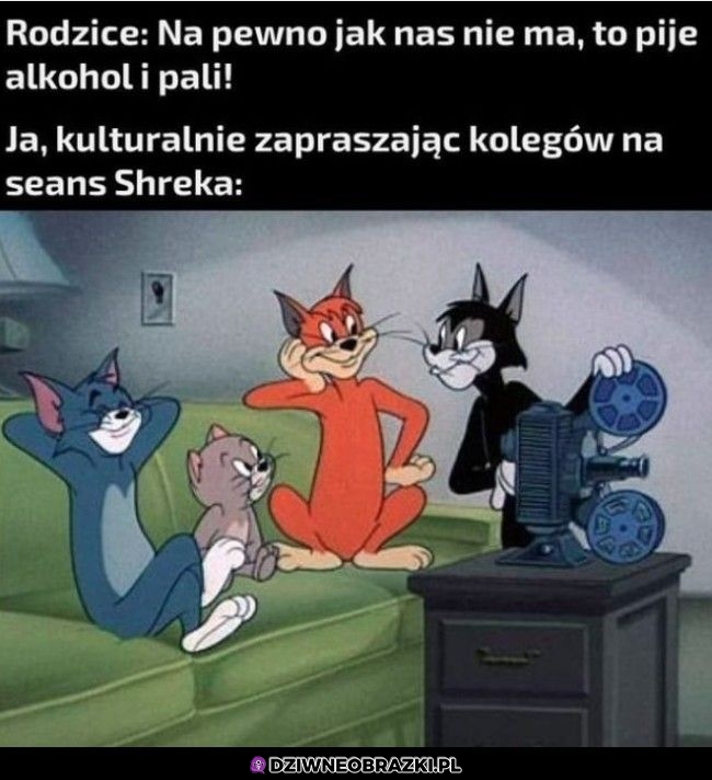 Dokładnie tak