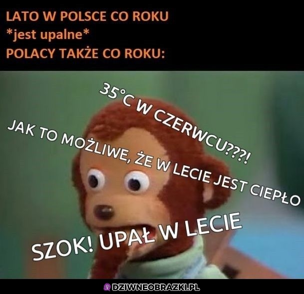 Szok