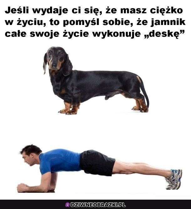 Te to mają ciężko