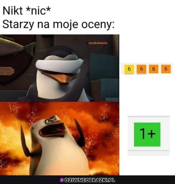 Kiedy dostaniesz jedną jedyną