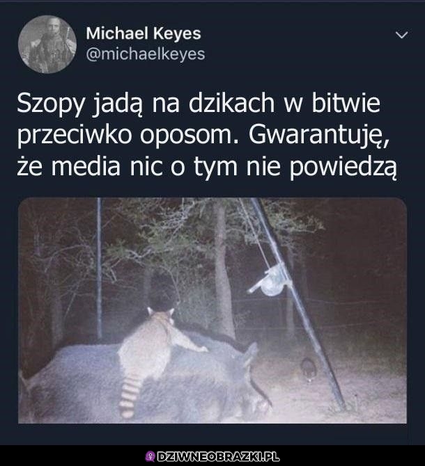 A media milczo