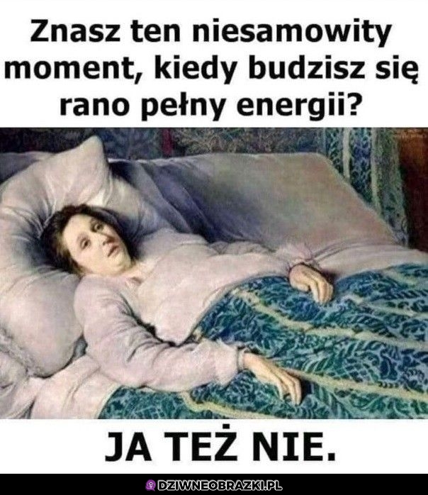 Nie wiem kto sie tak budzi