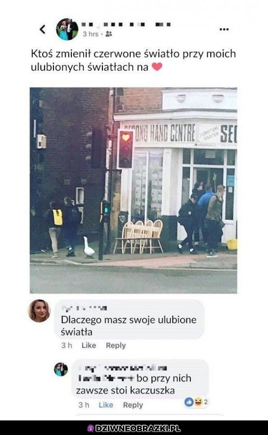 Ulubione światła w mieście