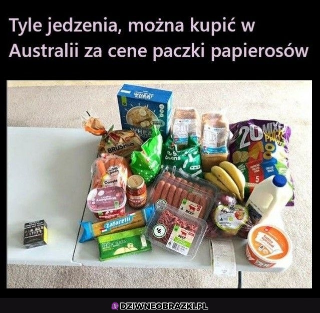Całkiem sporo