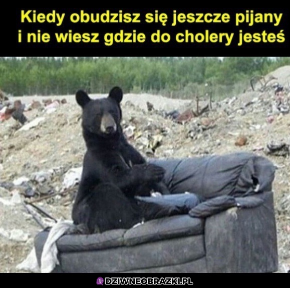 Co się stało?