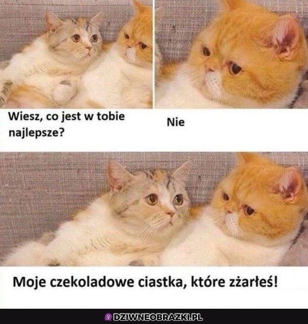 Co jest najlepsze?