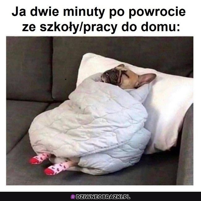 Po powrocie z pracy