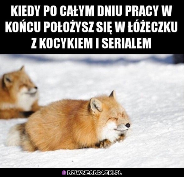 Cudowny moment