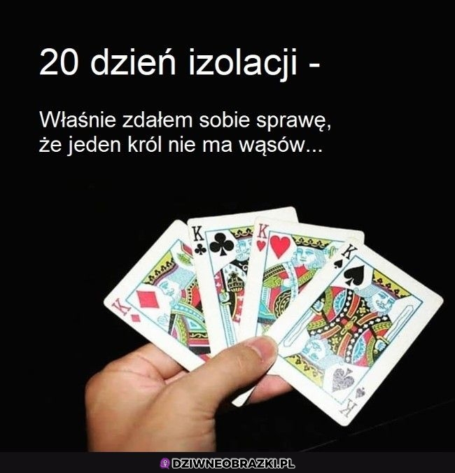 Ciekawostka