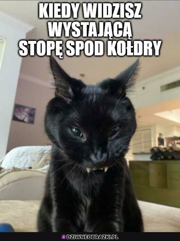Do ataku!