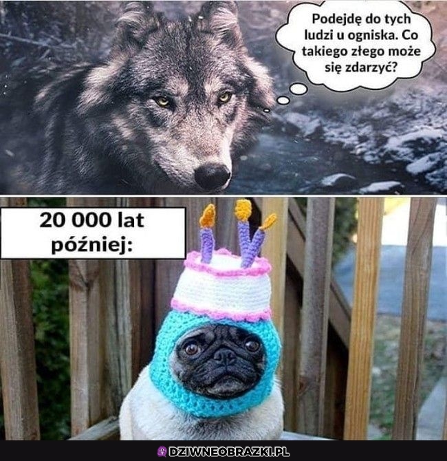 Nie było warto