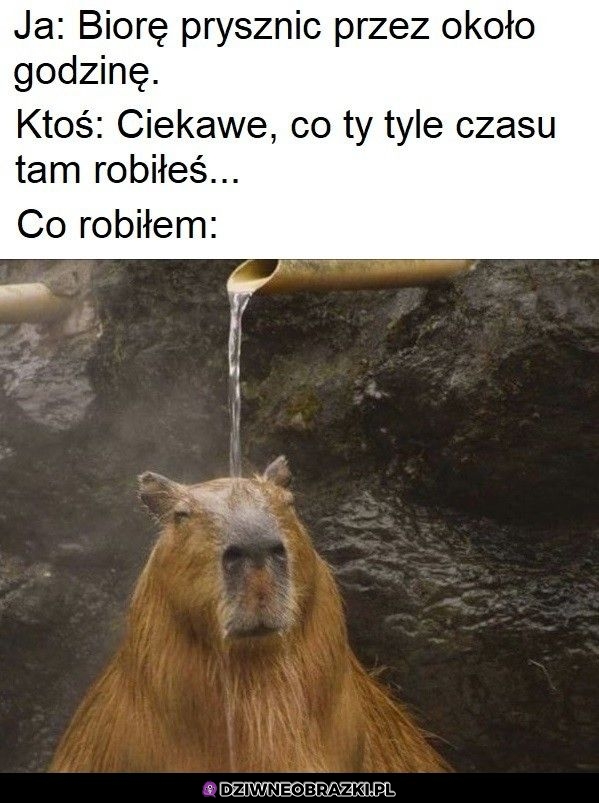 Własnie to tam robię