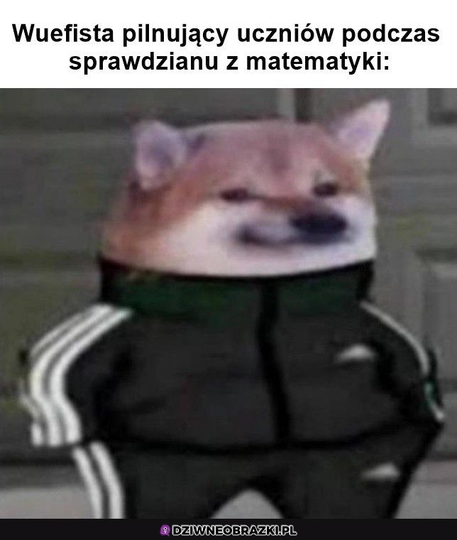 Taki jego wygląd