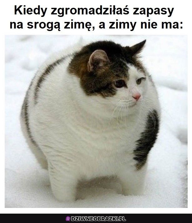 Zapasy na zimę