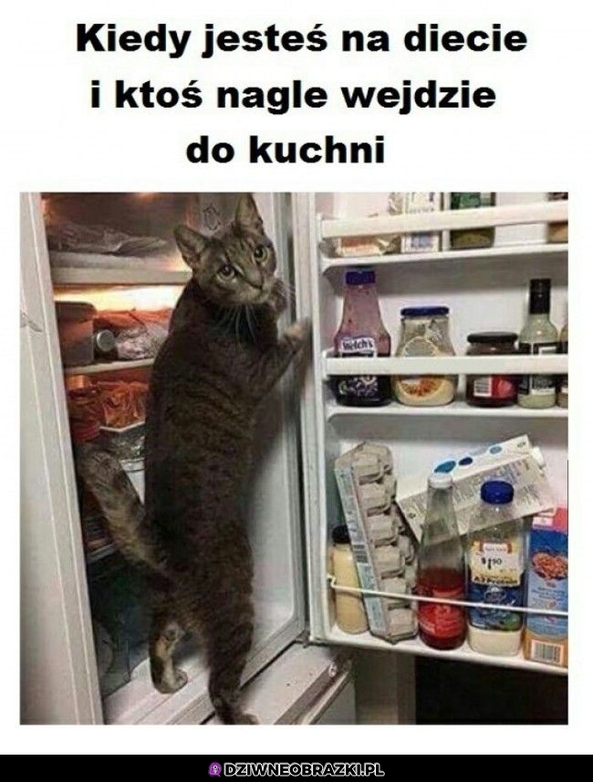 No weź nic tu nie widziałeś