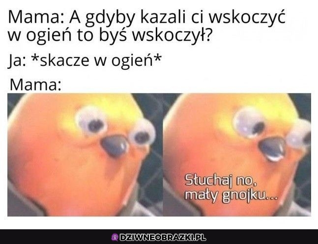 Słuchaj no