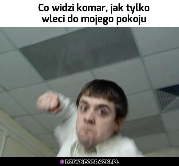 Właśnie to widzi