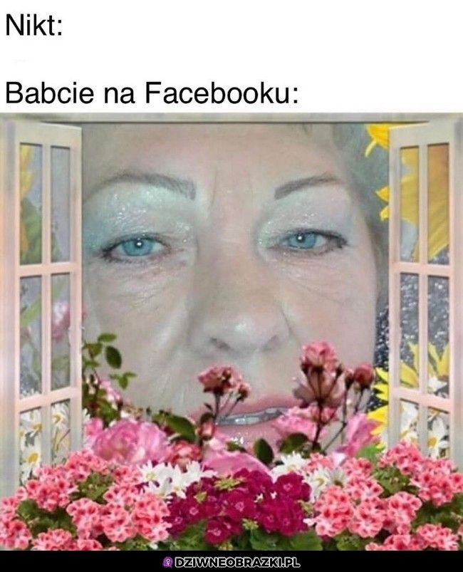 Babcie na fejsie takie są