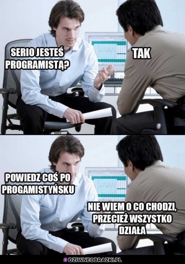 Programista