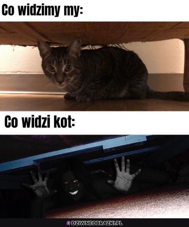 Co widzimy