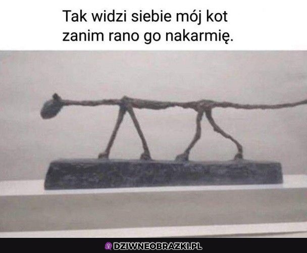 Ale drzeć pyszczek ma siłę