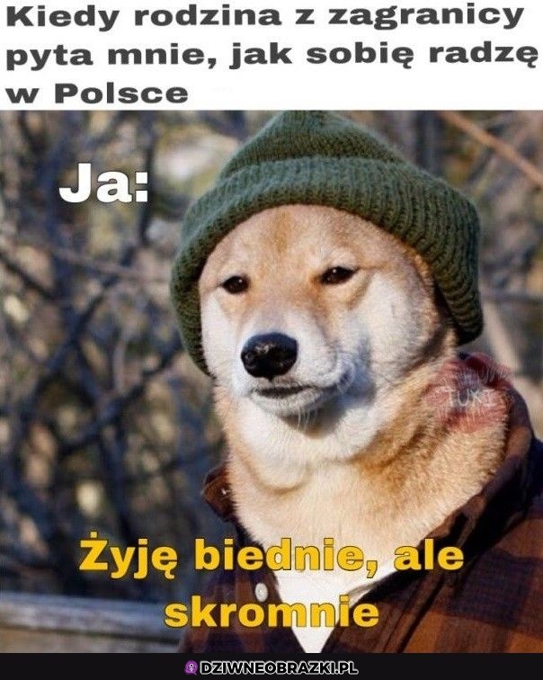 Tak sobie żyję