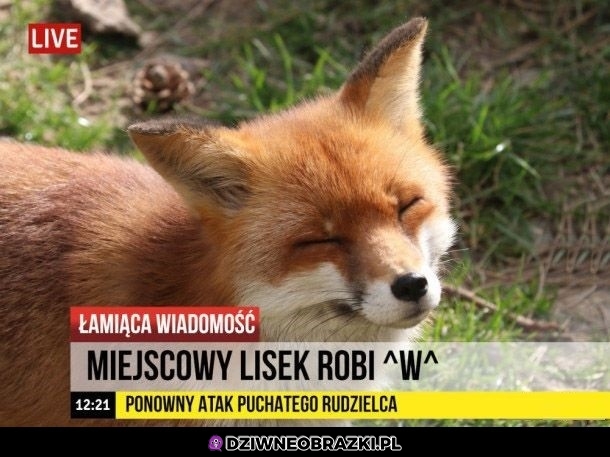 Łamiąca wiadomość