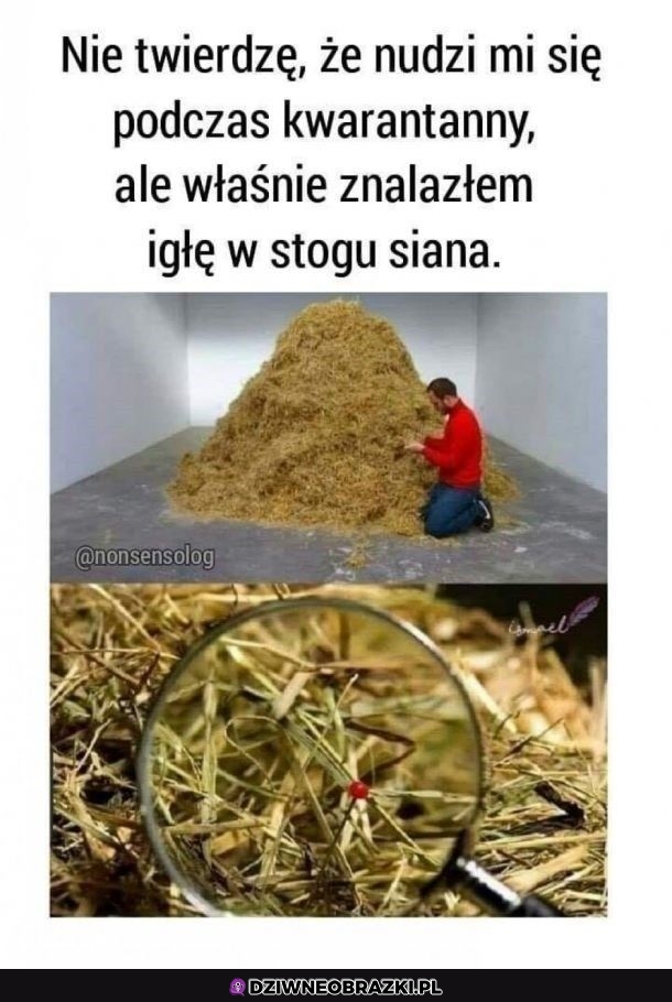 Przynajmniej mam jakieś zajęcie