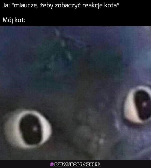 Ten moment