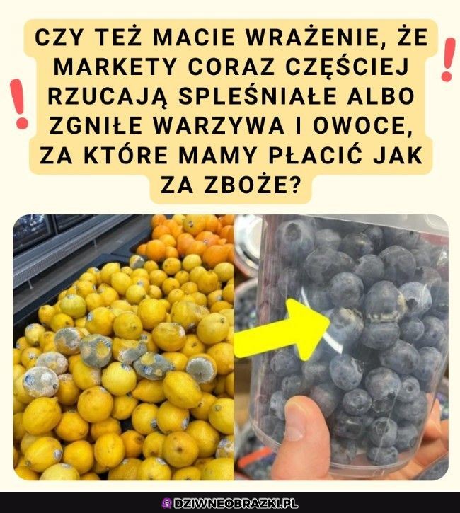 Spleśniałe owoce